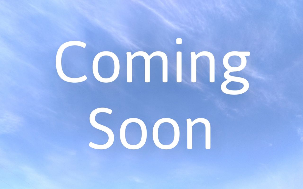 ③参加者応援企画